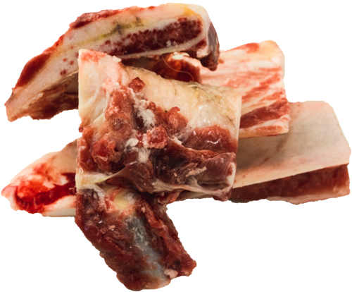 DSC05475_assorted llama bonesbones DSC05475_assorted llama bonesbones