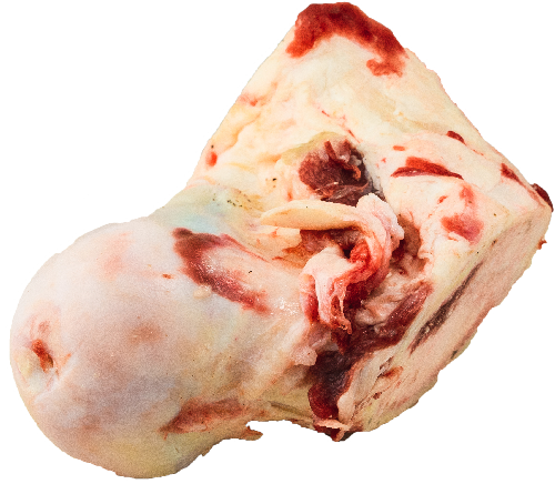beef-knuckle beef-knuckle
