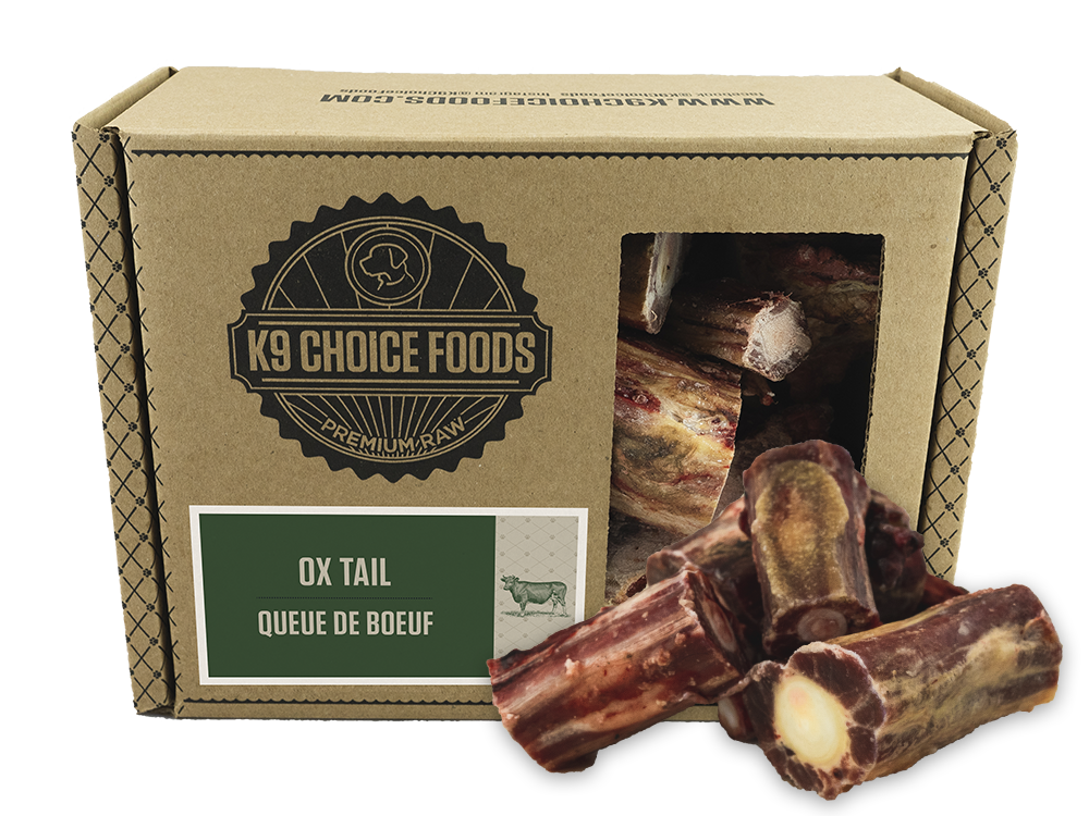bones2_ox tail bones2_ox tail