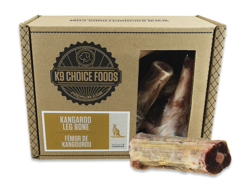 bones_kangaroo leg box bones_kangaroo leg box