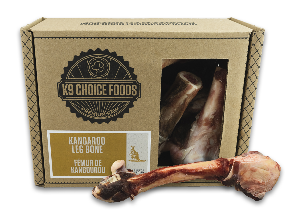 bones_kangaroo leg box2
