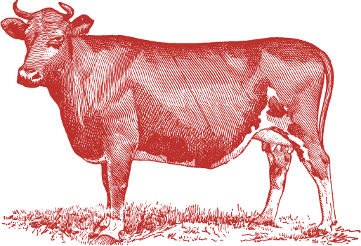 illo_beef_05 red