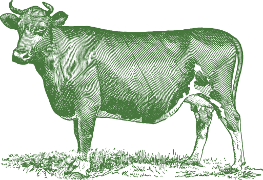 illo_beef_11 green illo_beef_11 green