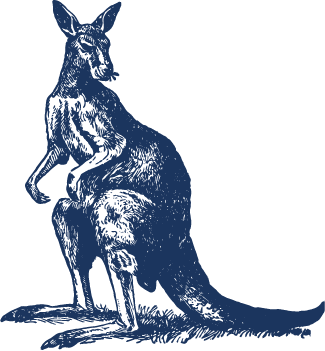 illo_kangaroo_15 blue