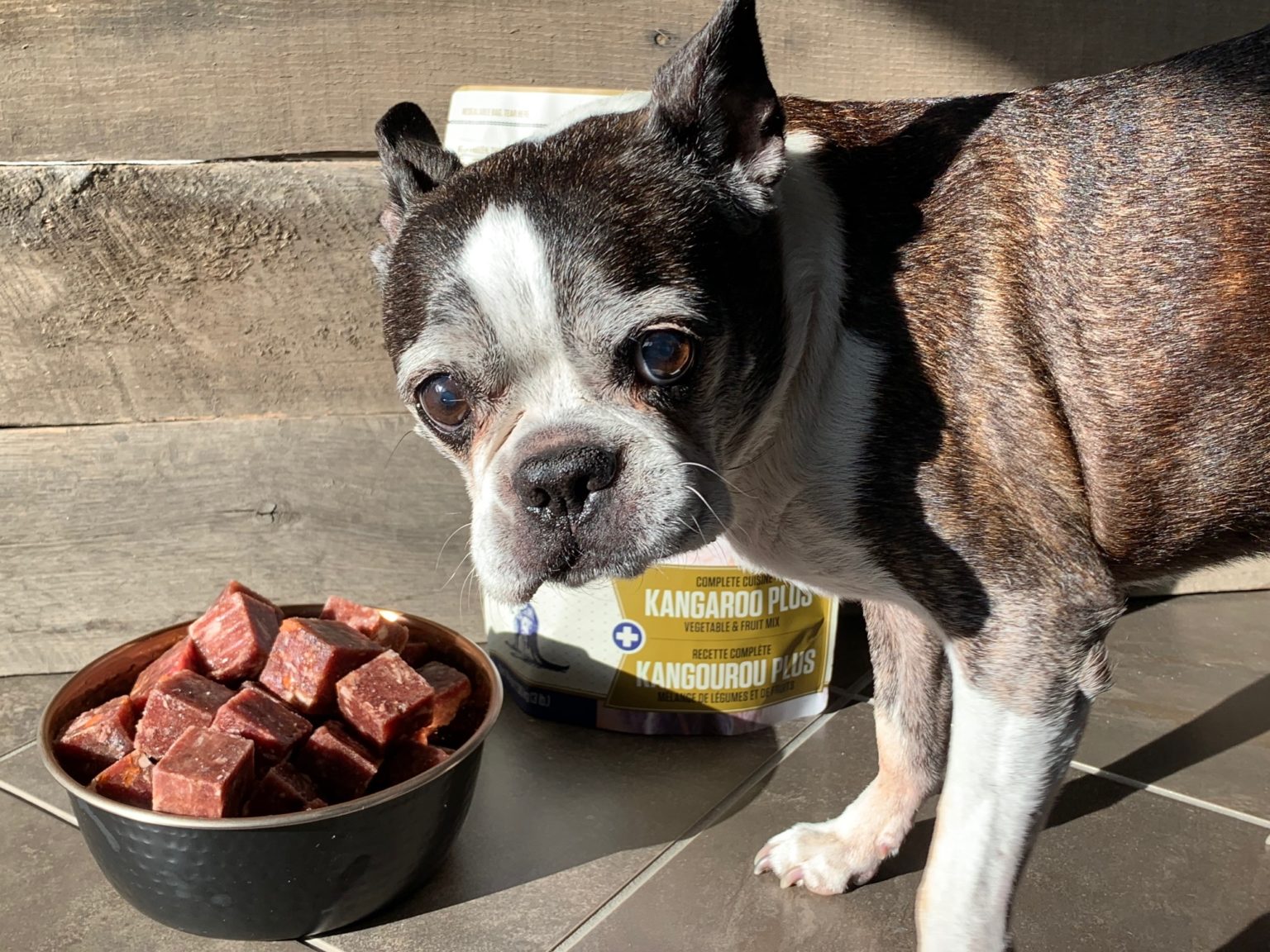 About Us K9 Choice Foods Raw Dog Food